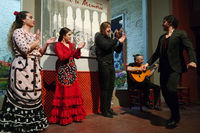 w 803 flamenco.jpg